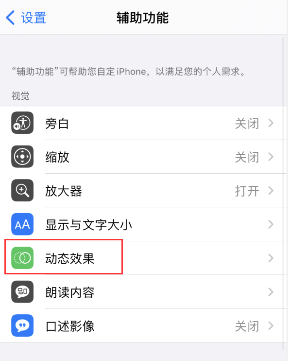 珲春苹果手机维修分享iPhone 12 退出应用时没有动画显示，如何设置 