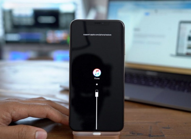 珲春苹果手机维修分享iPhone12进DFU教程 